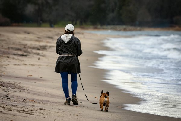 Comment les chauves-souris se déplacent-elles dans des espaces confinés sans se heurter à des obstacles?